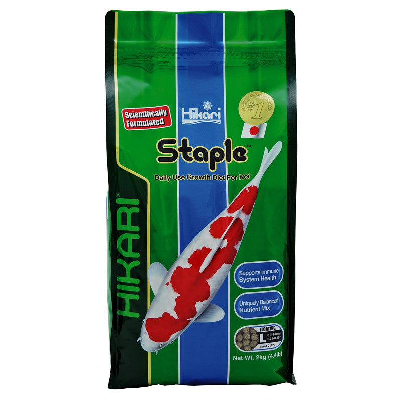 HIKARI STAPLE LARGE 2 KG (Grundpreis 16,90€/kg)