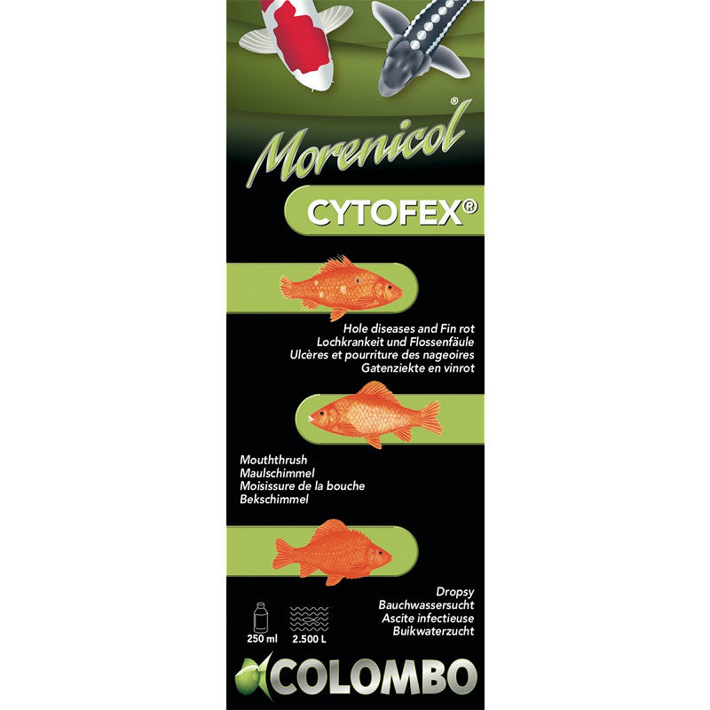 CYTOFEX 250 ML (Grundpreis 103,96/L)