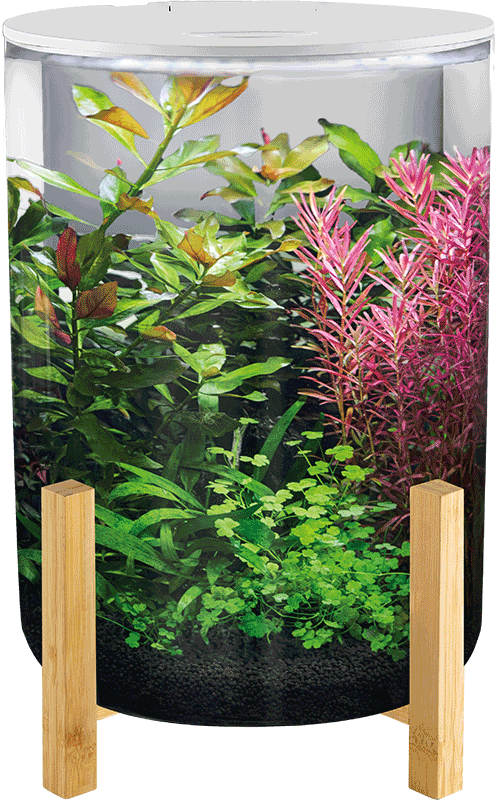 SF Orbic 11 weiß